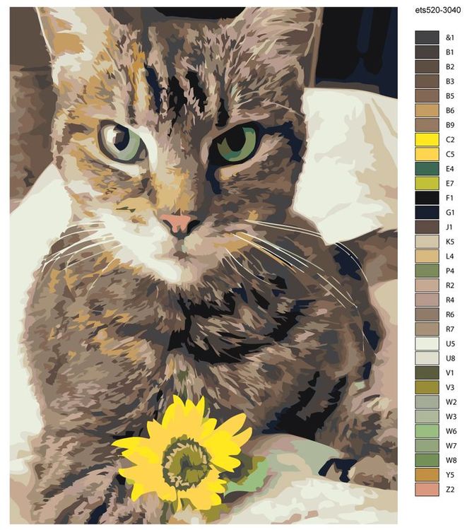 Картина по номерам «Кот с цветком» — картинка 2