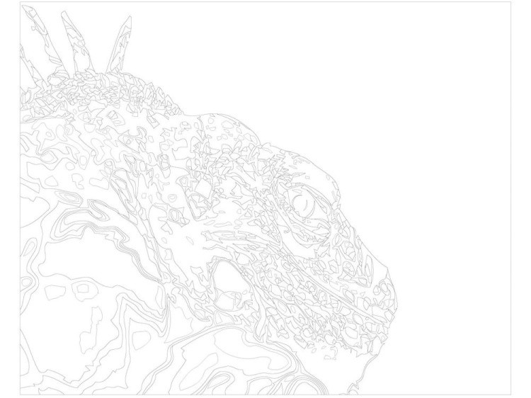 Картина по номерам «Игуана» — картинка 3