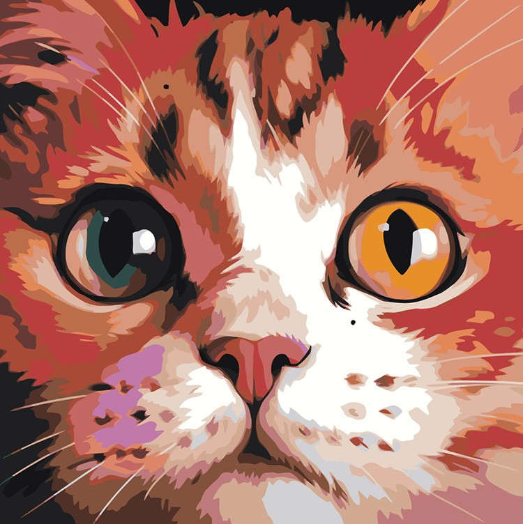 Картина по номерам «Морда кота крупным планом»