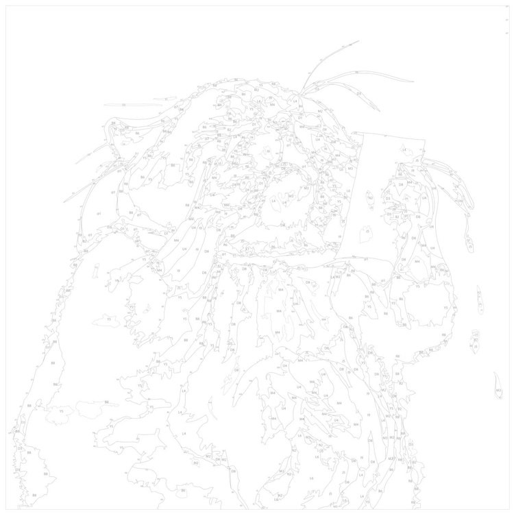 Картина по номерам «Толстый кот плачет» — картинка 3