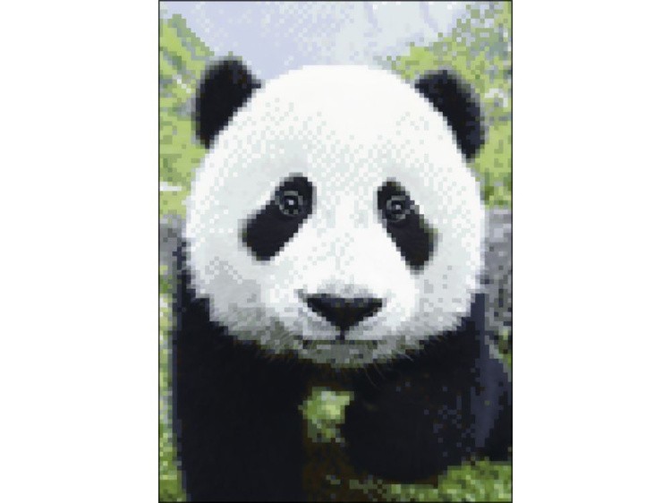 Алмазная вышивка «Любопытная панда» — картинка 2