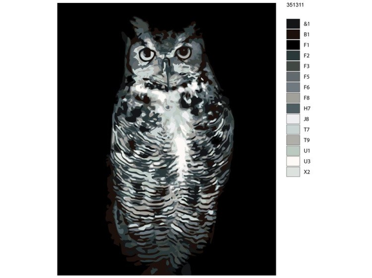 Картина по номерам «Чёрно-белая сова» — картинка 2