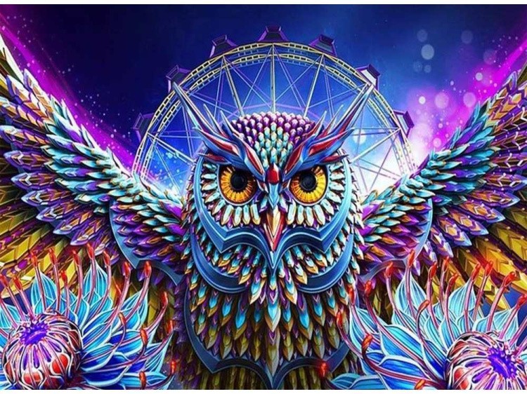 Картина по номерам «Совиная магия» — картинка 2