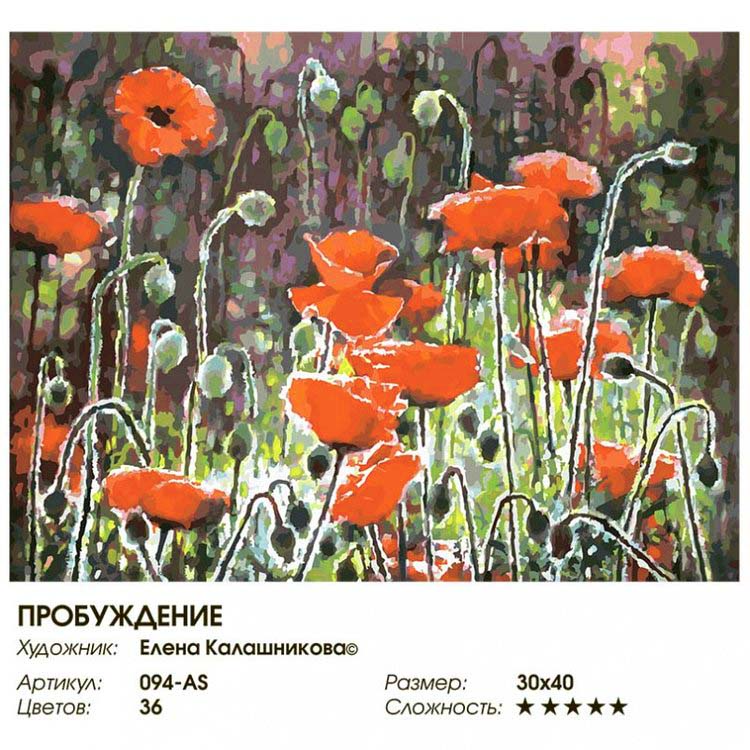 Картина по номерам «Пробуждение» — картинка 2