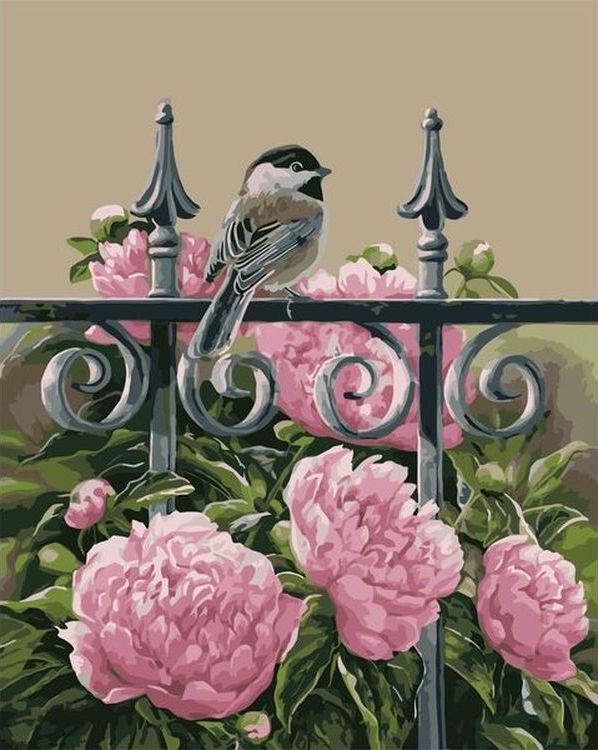 Картина по номерам «Маленькая птичка на заборе»