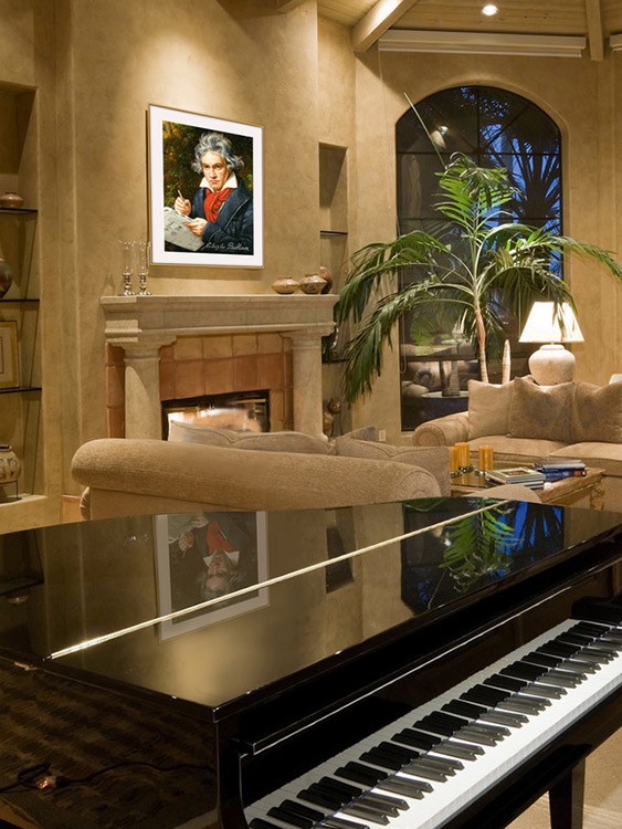 Картина по номерам «Людвиг Ван Бетховен» — картинка 4