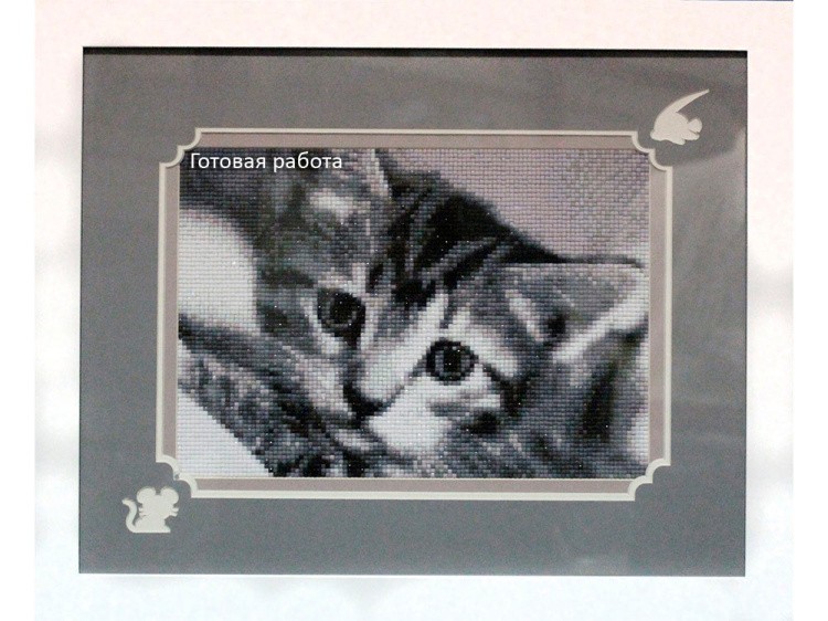 Алмазная вышивка «Черно-белый кот» — картинка 3