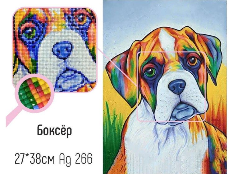Алмазная вышивка «Боксер» — картинка 2