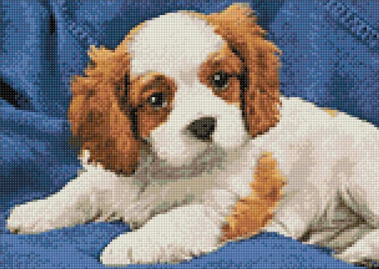 Алмазная вышивка «Щенок спаниеля» — картинка 2