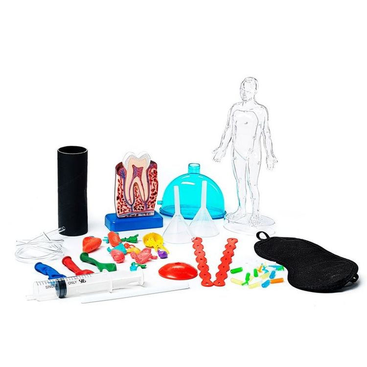 «Секреты человеческого тела». Французские опыты Науки с Буки Bondibon (8 экспериментов) — картинка 2