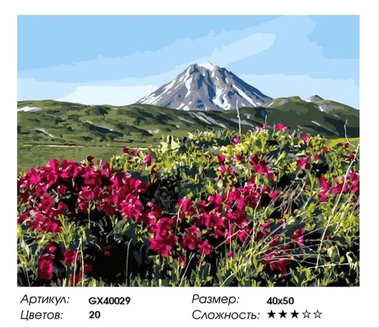Картина по номерам «Цветочные луга под горой» — картинка 2