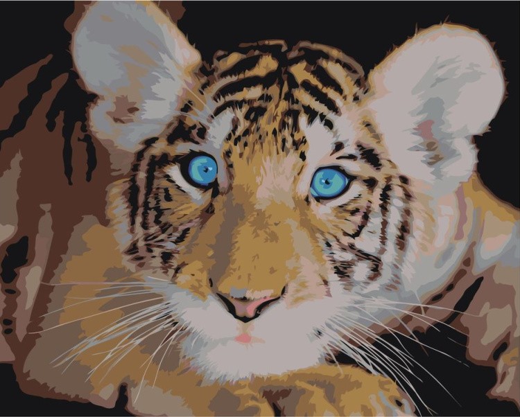 Картина по номерам «Удивлённый тигрёнок»
