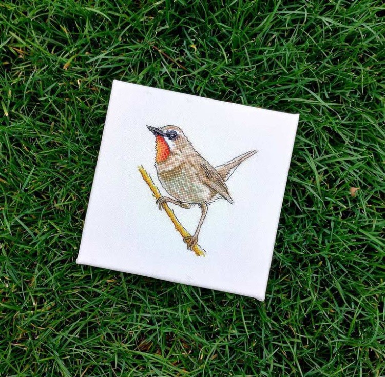 Набор для вышивания «Красношейка. Забайкальский соловей» — картинка 3