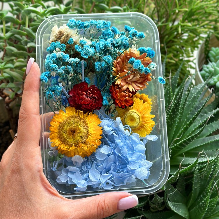 Набор сухоцветов №4, 1 упаковка — картинка 3