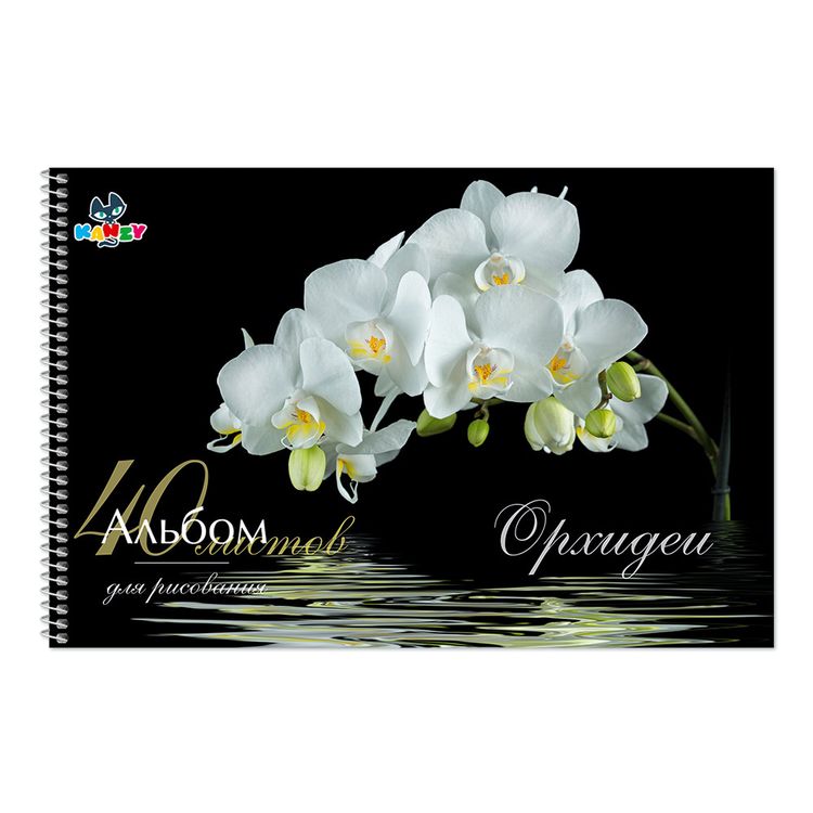 Альбом для рисования «Орхидеи» А4, 21х29 см, на спирали, 40 л., KANZY