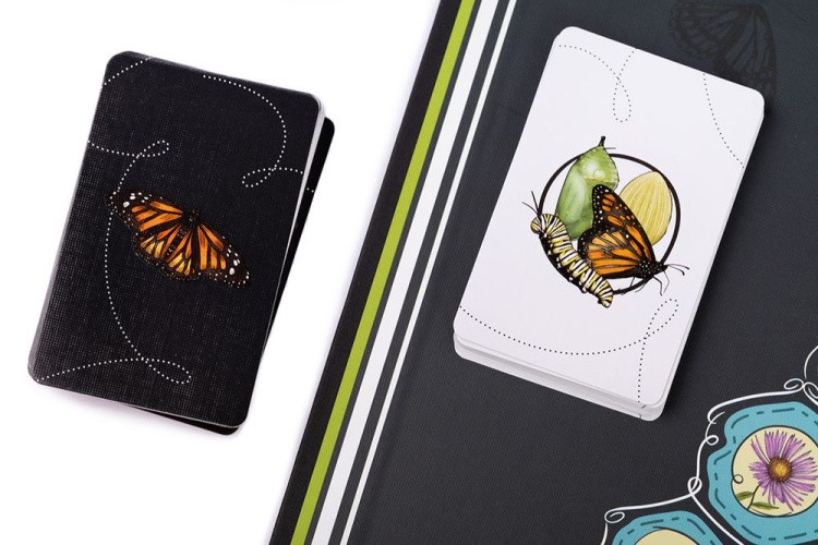 Игра настольная «Марипосас», Эврикус — картинка 15