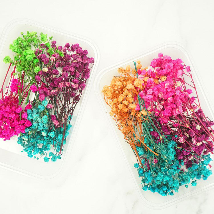 Сухоцветы Гипсофилы, 1 упаковка — картинка 3