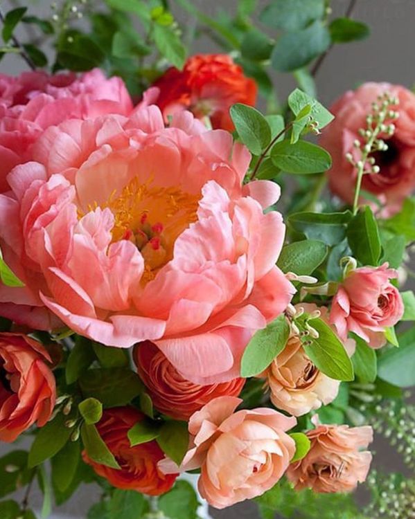 Алмазная вышивка «Коралловые пионы» — картинка 2