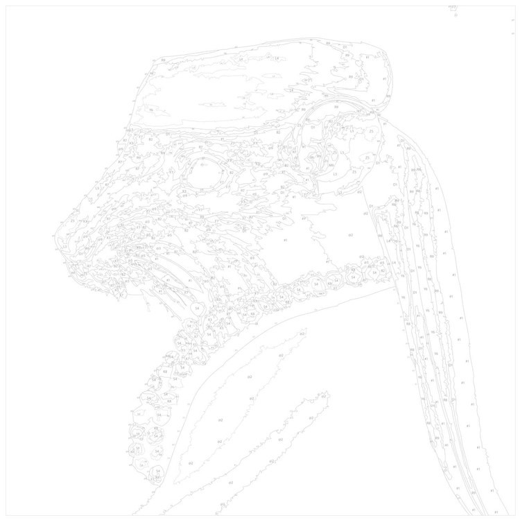 Картина по номерам «Портрет в историческом костюме» — картинка 3