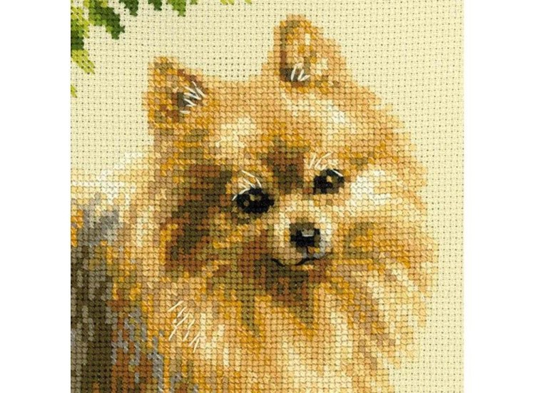 Набор для вышивания «Малый шпиц» — картинка 2