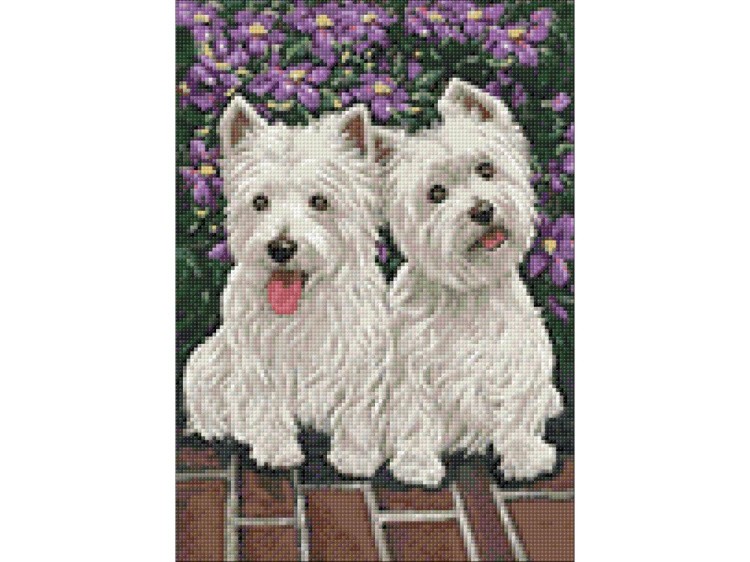 Алмазная вышивка «Близняшки-терьеры» — картинка 2