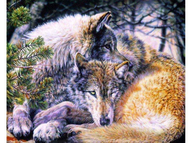 Алмазная вышивка «Волчья пара» — картинка 2