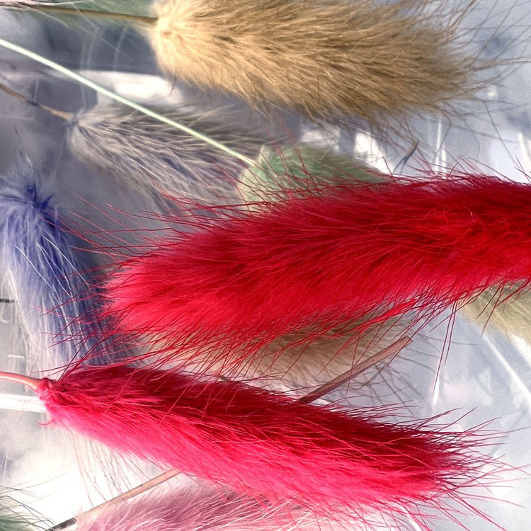 Сухоцветы Лагурус, 1 упаковка — картинка 4