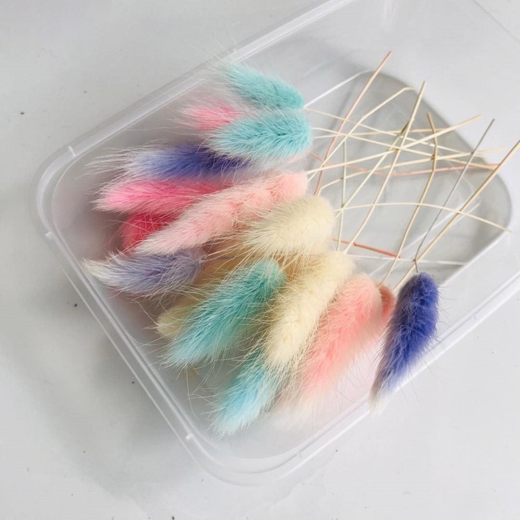 Сухоцветы Лагурус, 1 упаковка — картинка 5