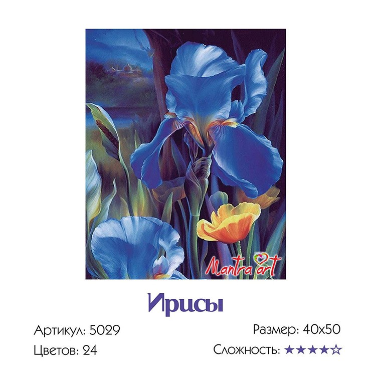 Картина по номерам «Ирисы» — картинка 3