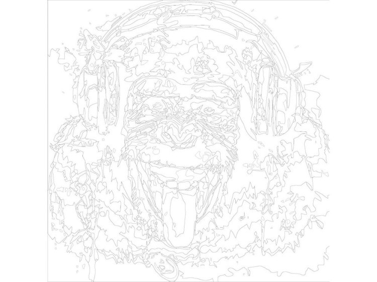 Картина по номерам «Шимпанзе-меломан» — картинка 3