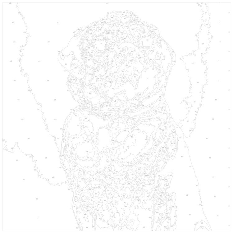 Картина по номерам «Портрет мопса» — картинка 3