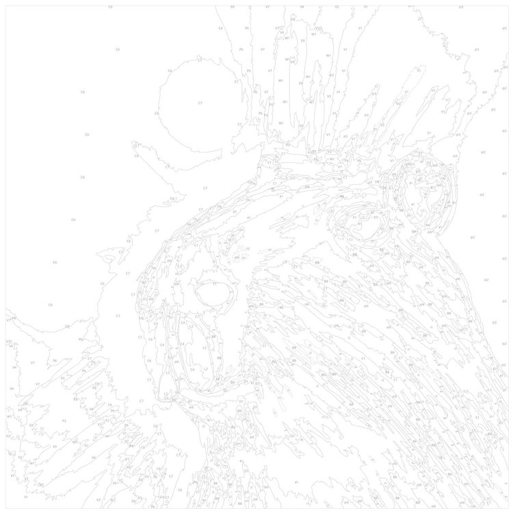 Картина по номерам «Портрет капибары» — картинка 3