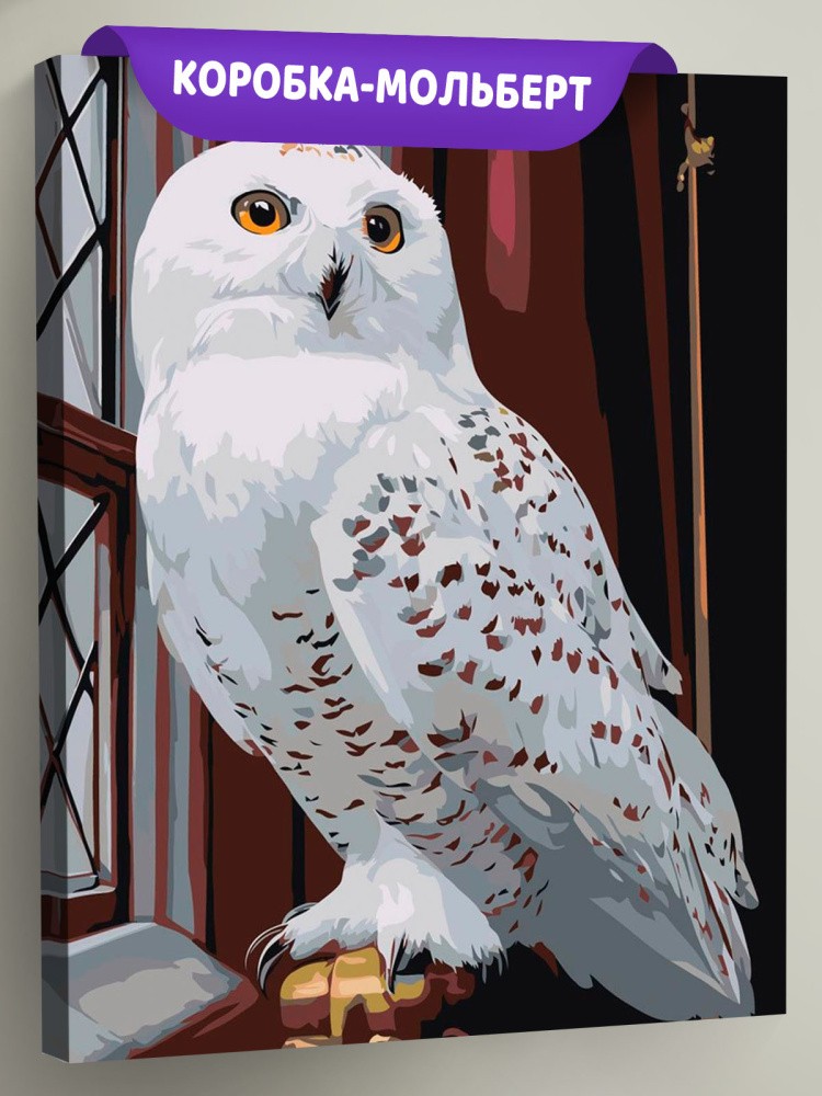 Картина по номерам Гарри Поттер сова Букля в Хогвартсе