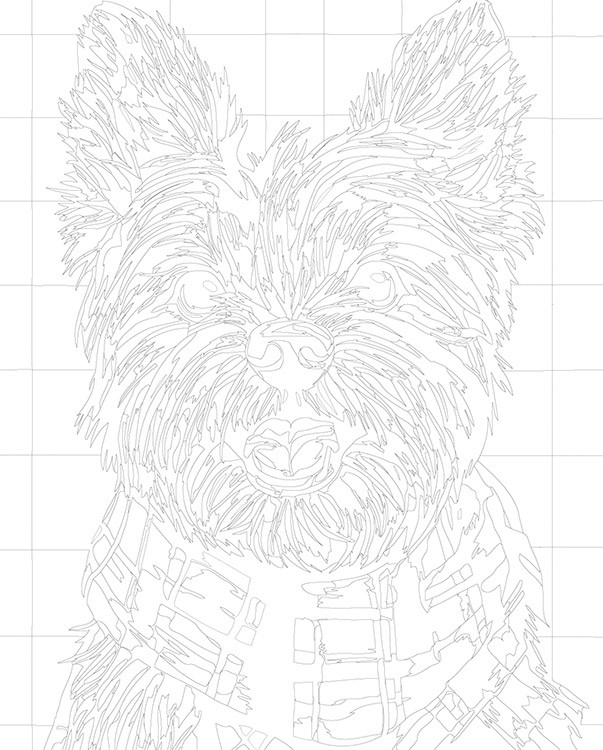 Картина по номерам «Собаки: йоркширский терьер, Англия» — картинка 3