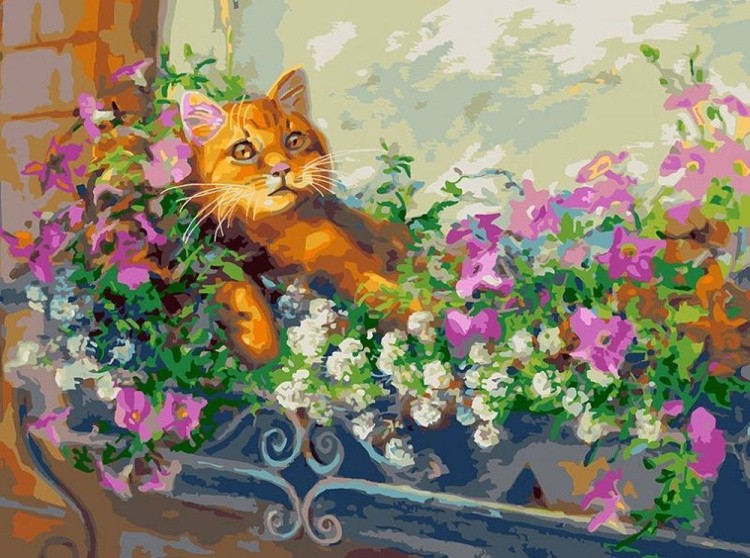 Картина по номерам «Любимый кот на отдыхе»