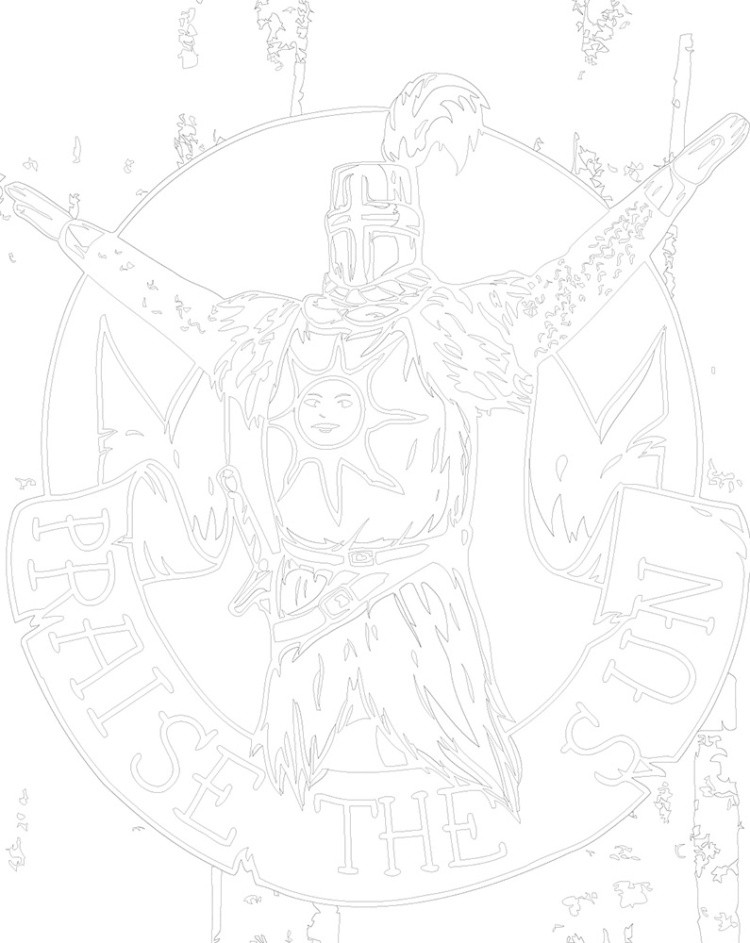 Картина по номерам «Дарк Соулс Элден Ринг: Восславь солнце!» — картинка 3