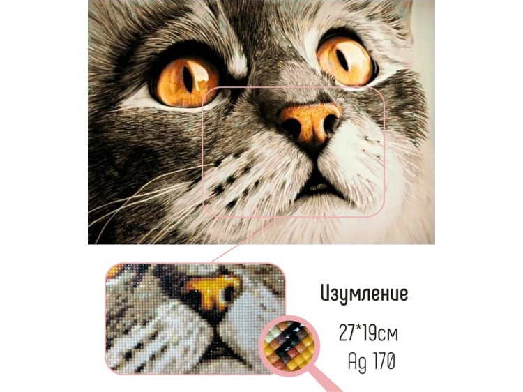 Алмазная вышивка «Изумление» — картинка 2