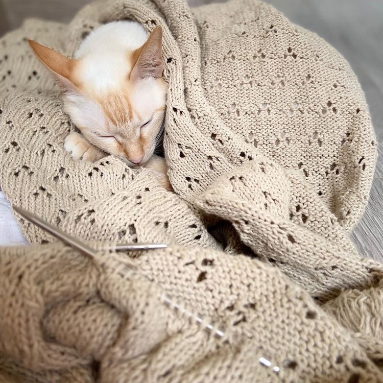 Пряжа Камтекс Ананасовая (050), коралл, 5 шт. по 100 г — картинка 3