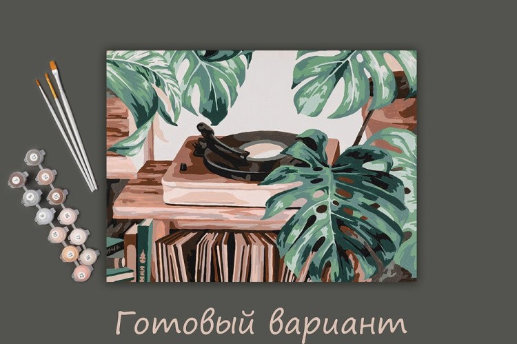 Картина по номерам «Грампластинки» — картинка 2