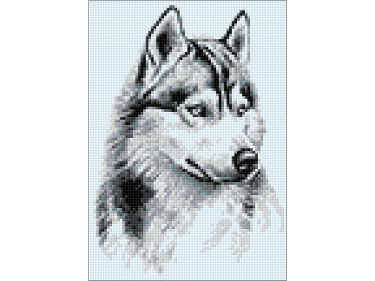 Алмазная вышивка «Потомок волков» — картинка 3