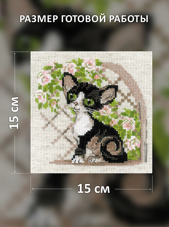 Набор для вышивания «Котёнок корниш рекс» — картинка 2