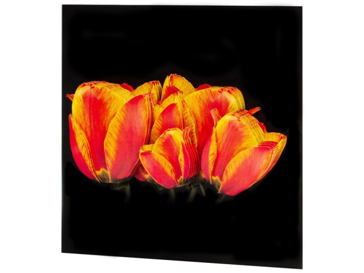 Папертоль «Солнечные тюльпаны» — картинка 2