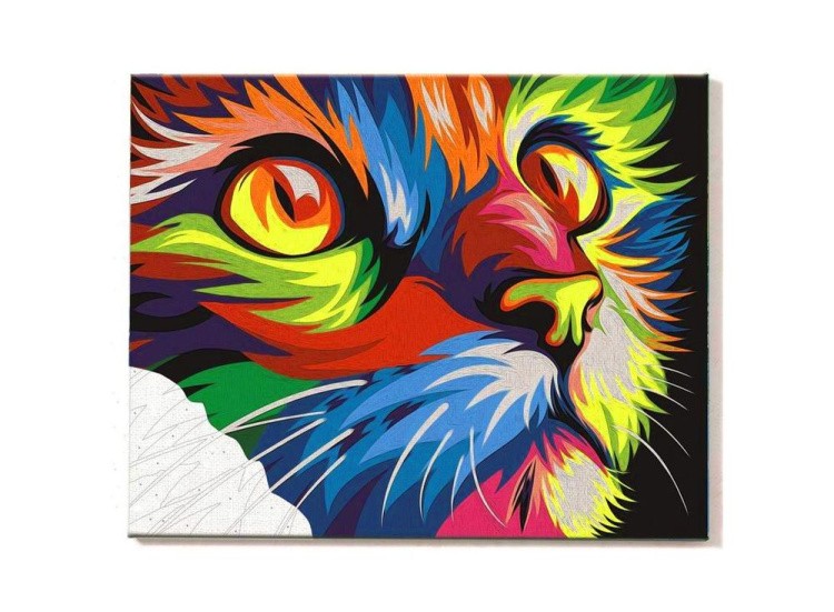 Картина по номерам «Радужный кот» — картинка 2