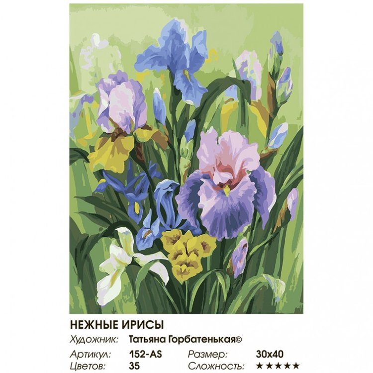 Картина по номерам «Нежные ирисы» — картинка 2