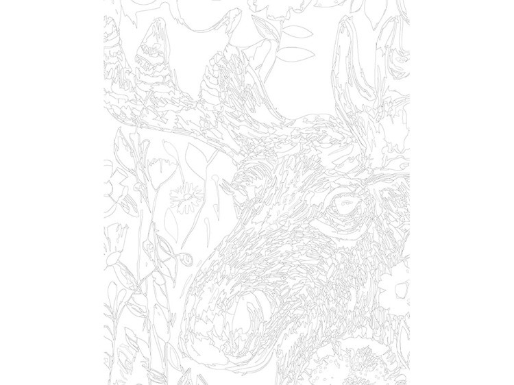 Картина по номерам «Пристальный взгляд» — картинка 3