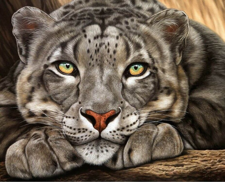 Алмазная вышивка «Барс» — картинка 2