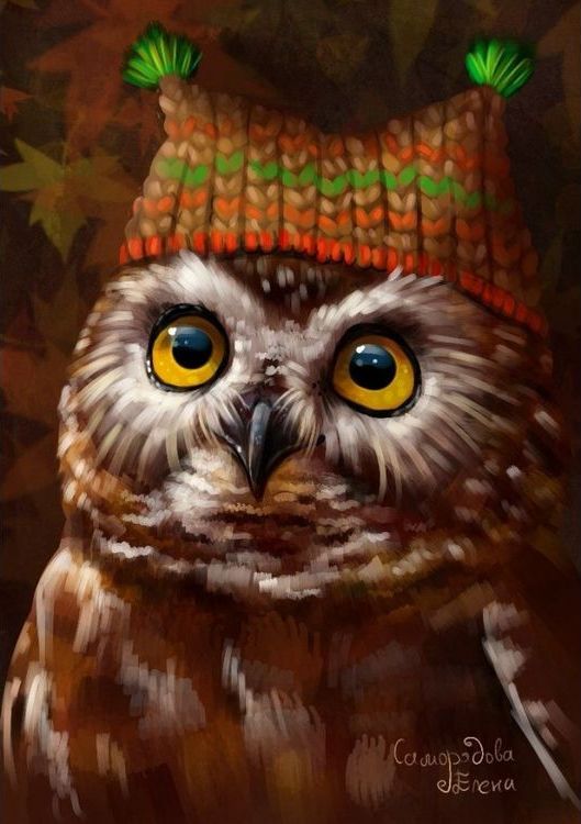 Картина по номерам «Сова в шапочке» — картинка 2