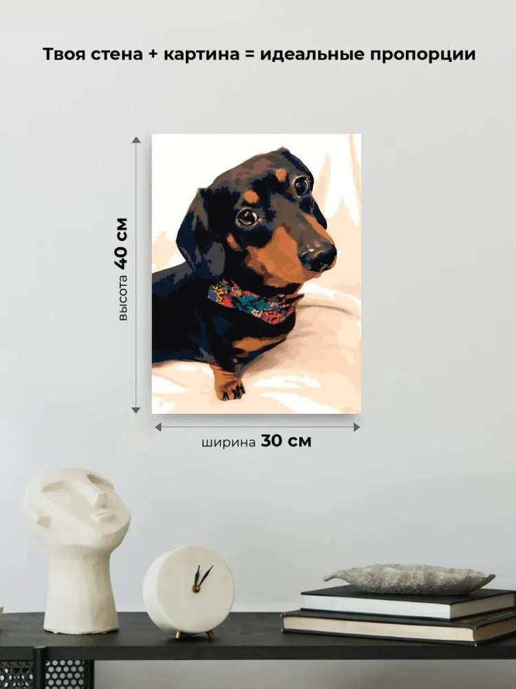 Картина по номерам «Милая такса» — картинка 3