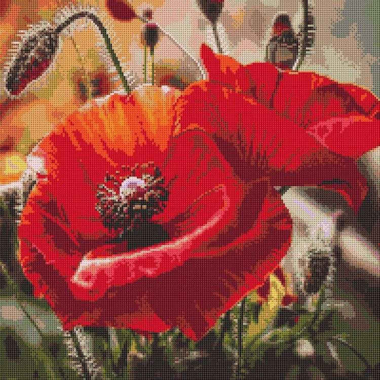 Алмазная вышивка «Маки» — картинка 2