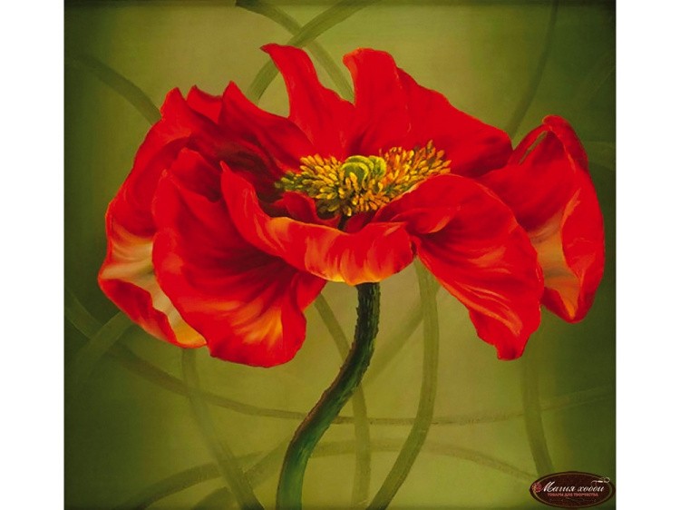 Папертоль «Огненный мак» — картинка 2